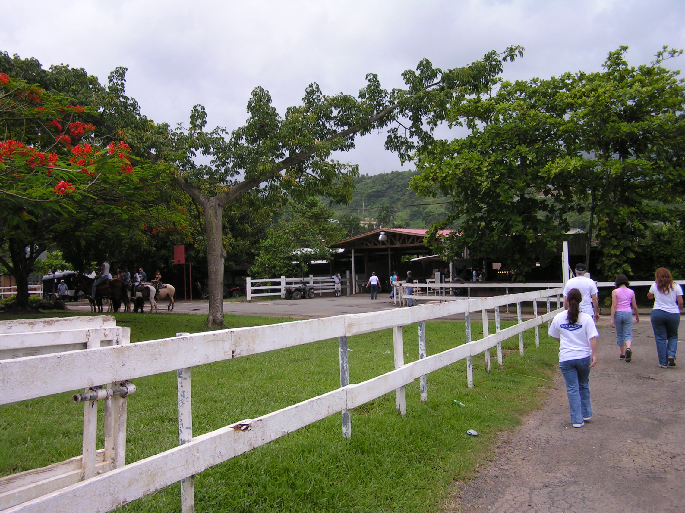 ./2005/Puerto Rico/Part 1/PICT0287.JPG